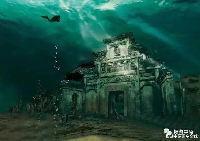 甘肃省平凉市泾川县《万元寻狗》——“马尔济斯犬”